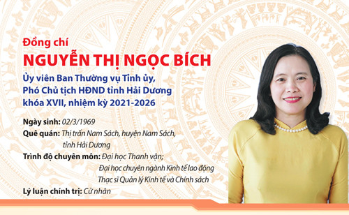 [Infographics] Đồng chí Nguyễn Thị Ngọc Bích, Phó Chủ tịch HĐND tỉnh khóa XVII